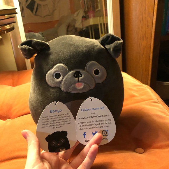 bongo the squishmallow